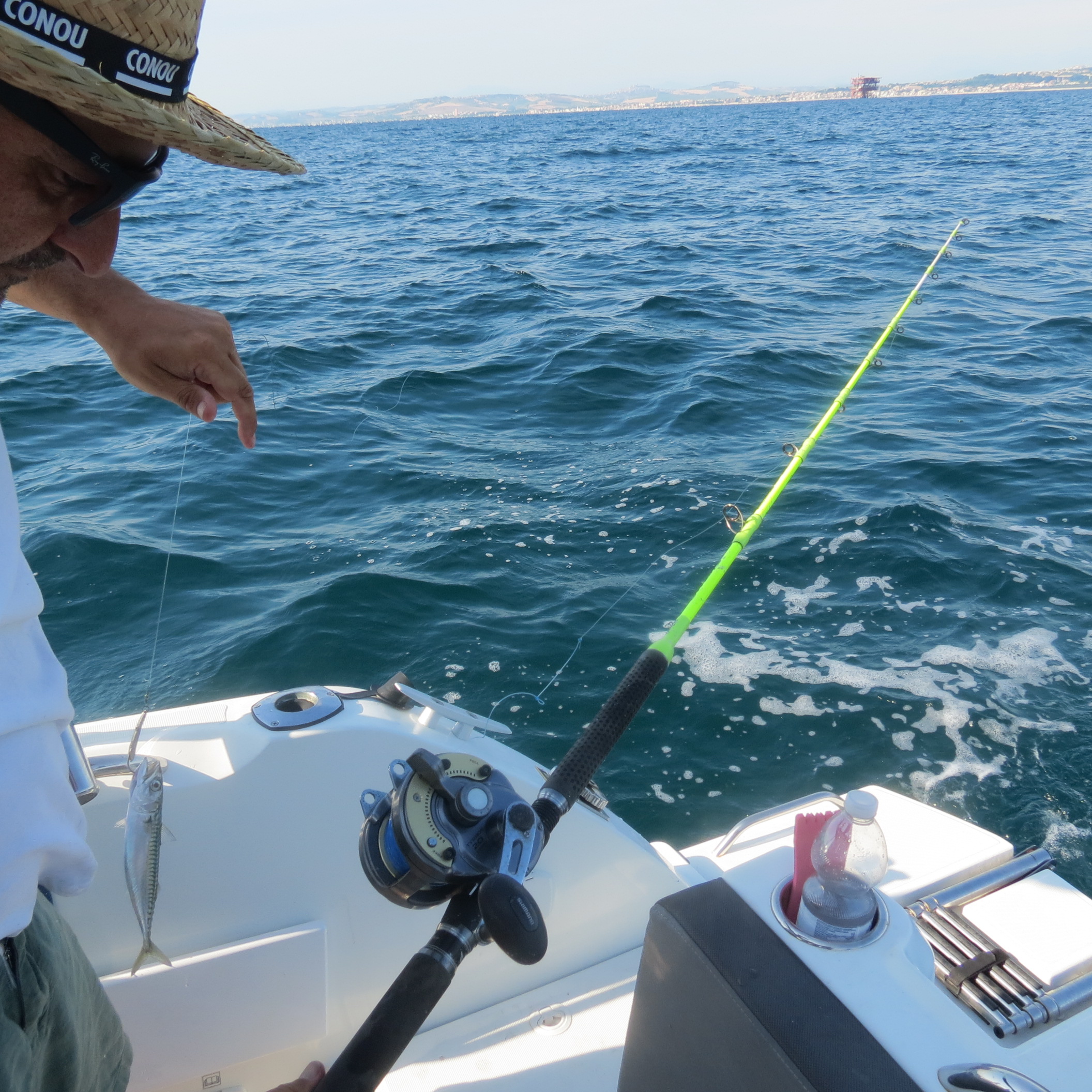 26.JPG